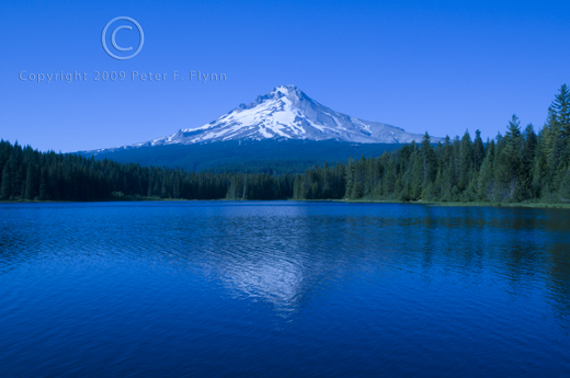 mt_hood_wb_tungsten