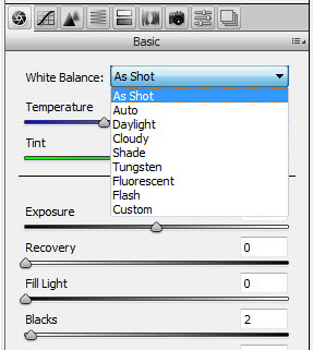 White Balance Menu with Options