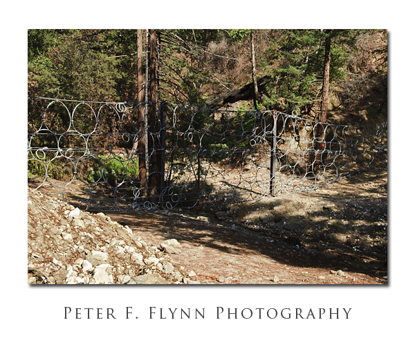 Ravine with Ring Fence