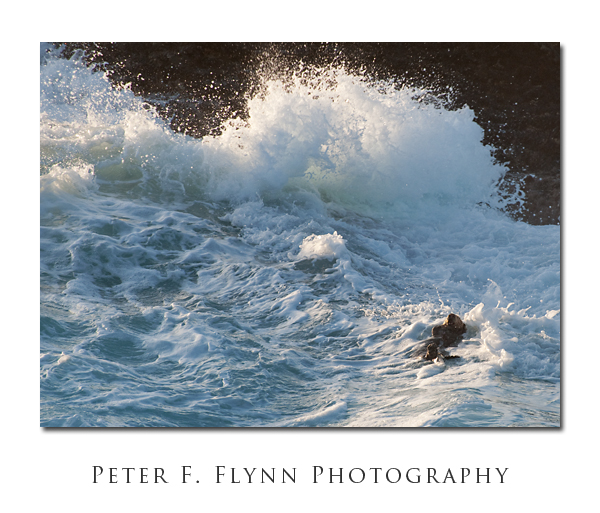 Daredevil Otter